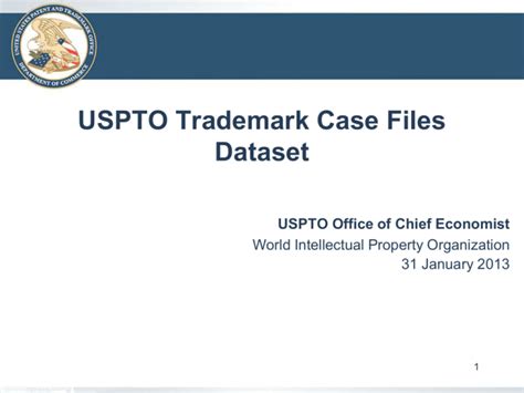 USPTO Patent Number and Case Code File Dataset 